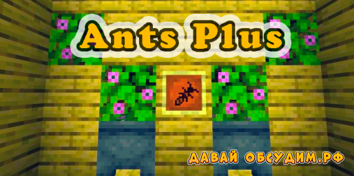 Ants Plus