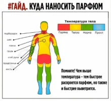 Как наносить парфюм правильно?