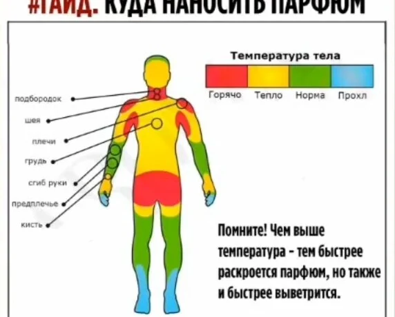 Как наносить парфюм правильно?